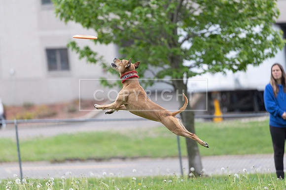 RielVisuals_20260518_175918_SJR_1941