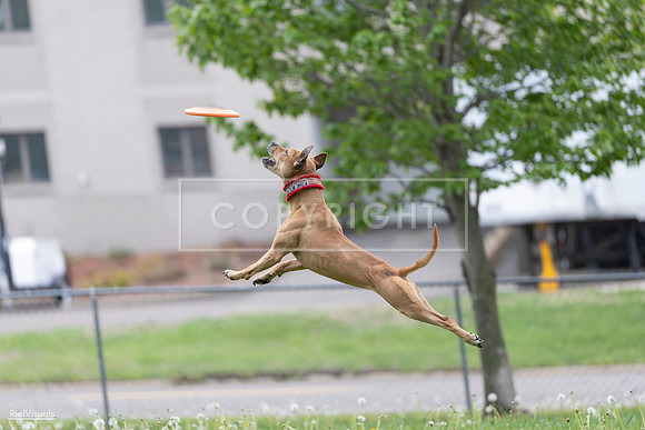 RielVisuals_20260518_175918_SJR_1942