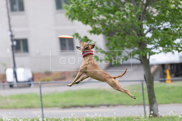 RielVisuals_20260518_175918_SJR_1943