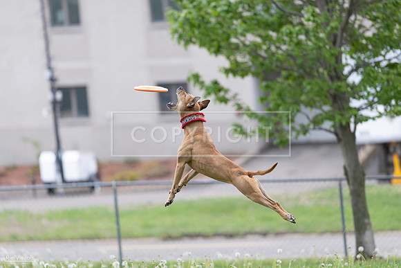 RielVisuals_20260518_175918_SJR_1944