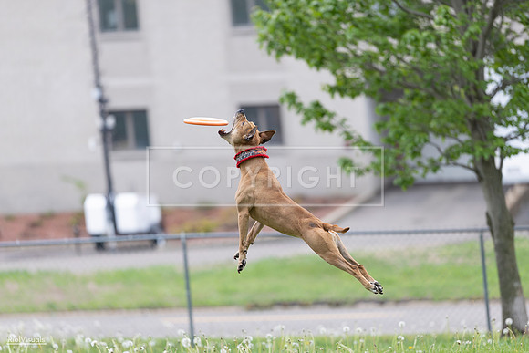RielVisuals_20260518_175918_SJR_1945