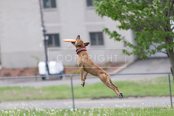 RielVisuals_20260518_175918_SJR_1946