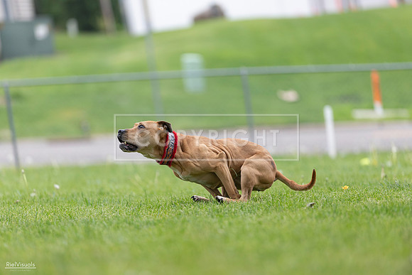 RielVisuals_20260518_175935_SJR_1964