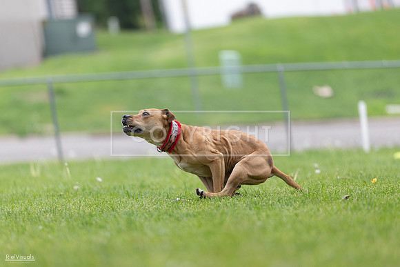 RielVisuals_20260518_175935_SJR_1965