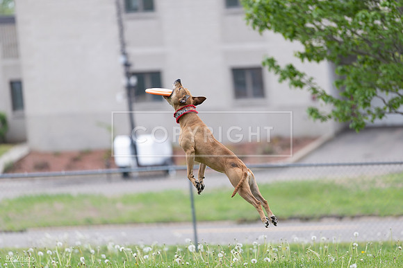 RielVisuals_20260518_175918_SJR_1947
