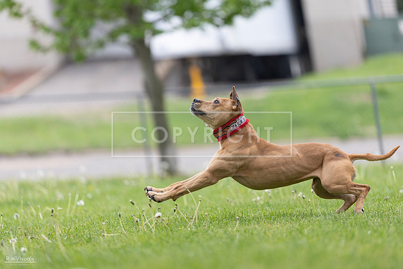 RielVisuals_20260518_175935_SJR_1972