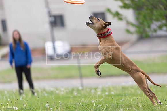 RielVisuals_20260518_175935_SJR_1980
