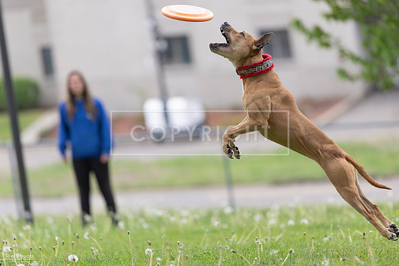 RielVisuals_20260518_175935_SJR_1981