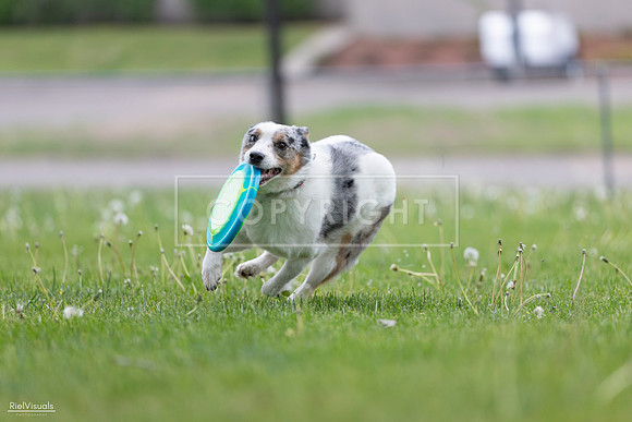RielVisuals_20260518_180119_SJR_2108