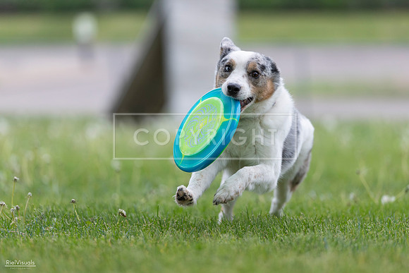 RielVisuals_20260518_180119_SJR_2126