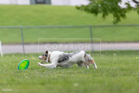 RielVisuals_20260518_180135_SJR_2136