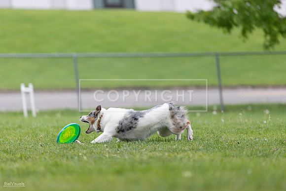 RielVisuals_20260518_180135_SJR_2137