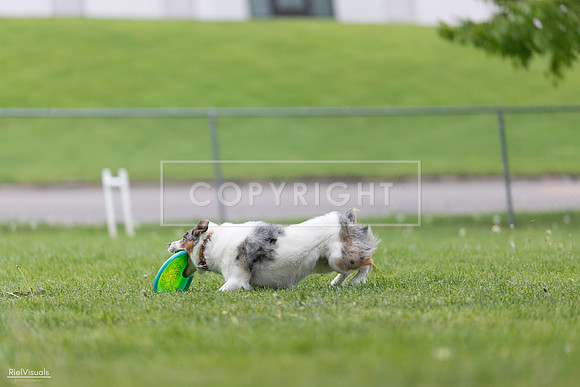 RielVisuals_20260518_180135_SJR_2138