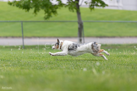 RielVisuals_20260518_180153_SJR_2164