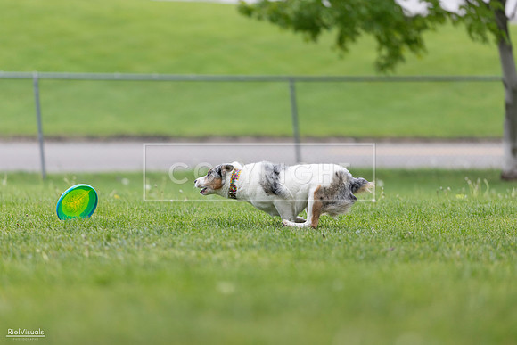 RielVisuals_20260518_180153_SJR_2168