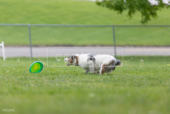RielVisuals_20260518_180153_SJR_2169