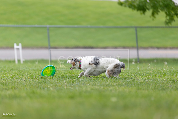 RielVisuals_20260518_180153_SJR_2170