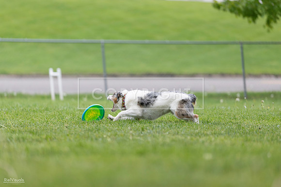 RielVisuals_20260518_180153_SJR_2171