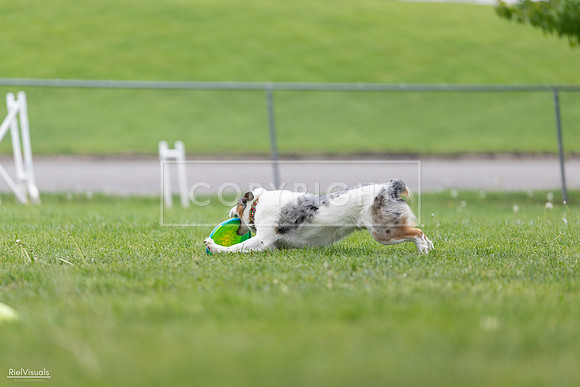 RielVisuals_20260518_180153_SJR_2172