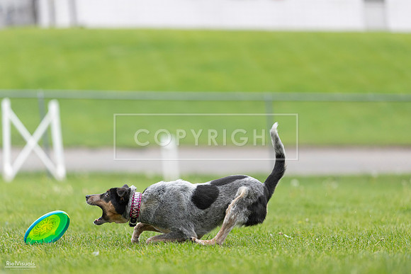 RielVisuals_20260518_180549_SJR_2191