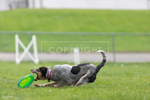 RielVisuals_20260518_180549_SJR_2192