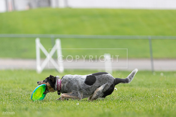 RielVisuals_20260518_180549_SJR_2193