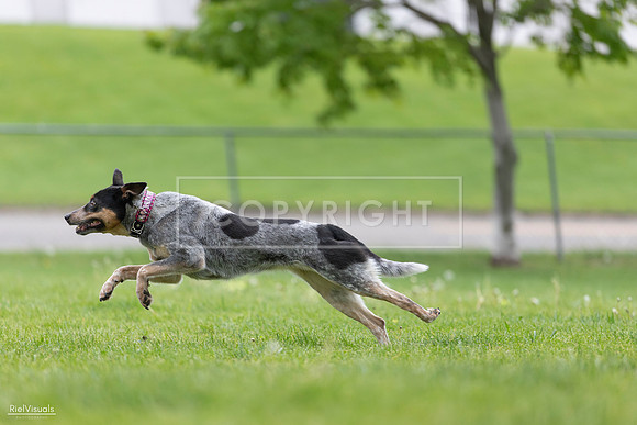 RielVisuals_20260518_180603_SJR_2214