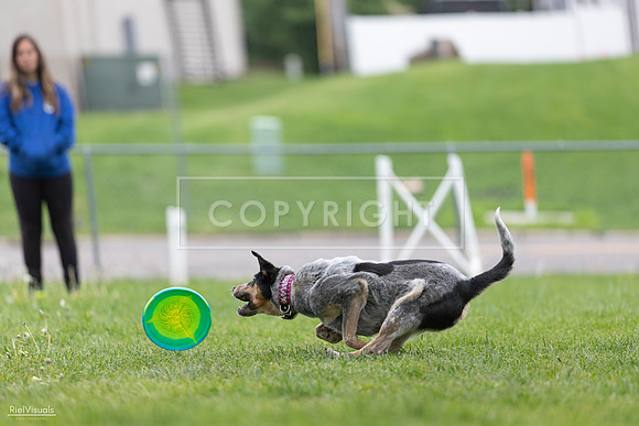 RielVisuals_20260518_180619_SJR_2273
