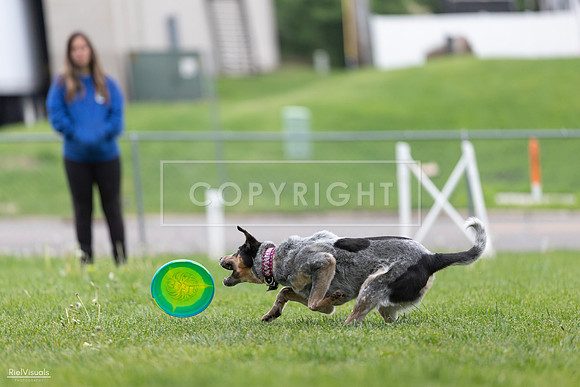 RielVisuals_20260518_180619_SJR_2274
