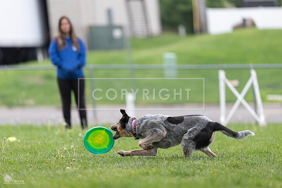 RielVisuals_20260518_180620_SJR_2275
