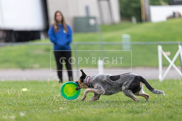 RielVisuals_20260518_180620_SJR_2276