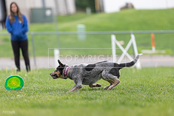 RielVisuals_20260518_180633_SJR_2299