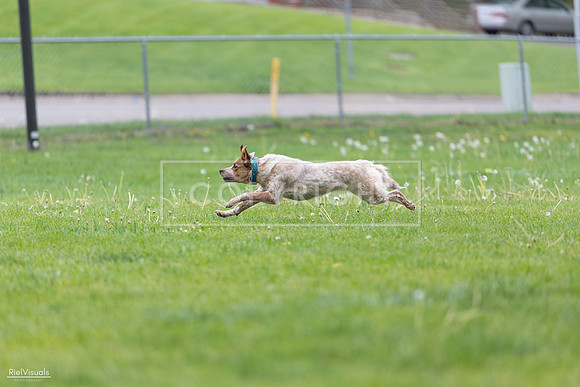 RielVisuals_20260518_180921_SJR_2339