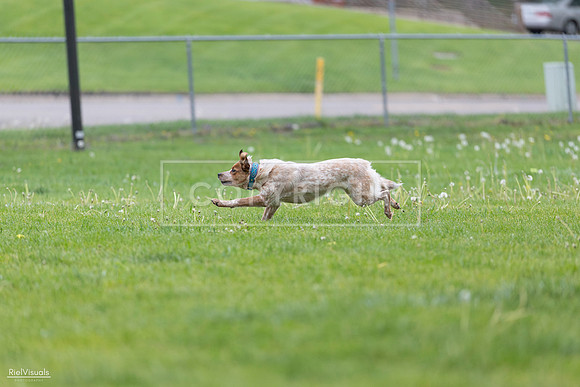 RielVisuals_20260518_180921_SJR_2340