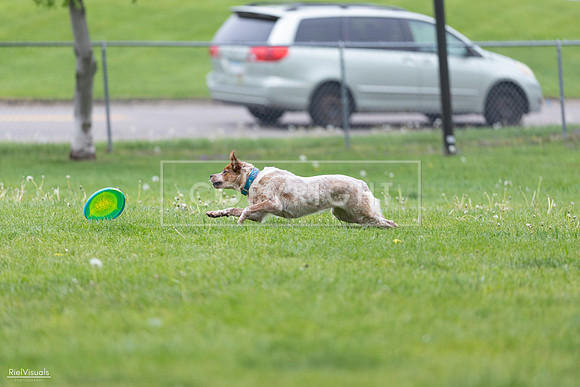 RielVisuals_20260518_180921_SJR_2348