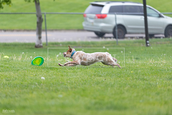 RielVisuals_20260518_180921_SJR_2349