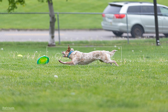 RielVisuals_20260518_180921_SJR_2350