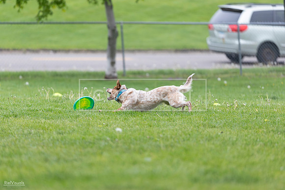 RielVisuals_20260518_180921_SJR_2351
