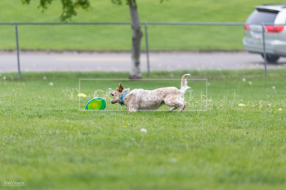 RielVisuals_20260518_180921_SJR_2352