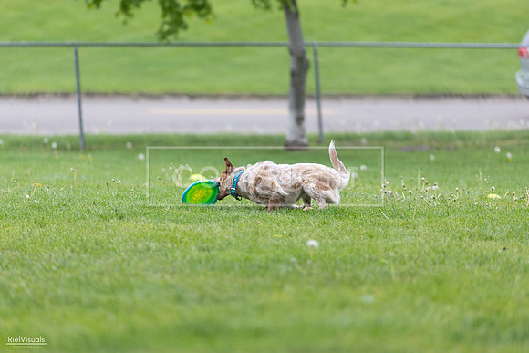 RielVisuals_20260518_180921_SJR_2353