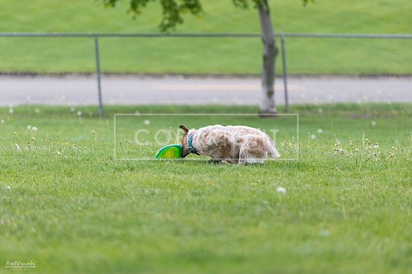 RielVisuals_20260518_180921_SJR_2354