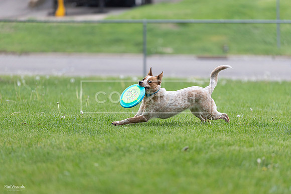 RielVisuals_20260518_180934_SJR_2392