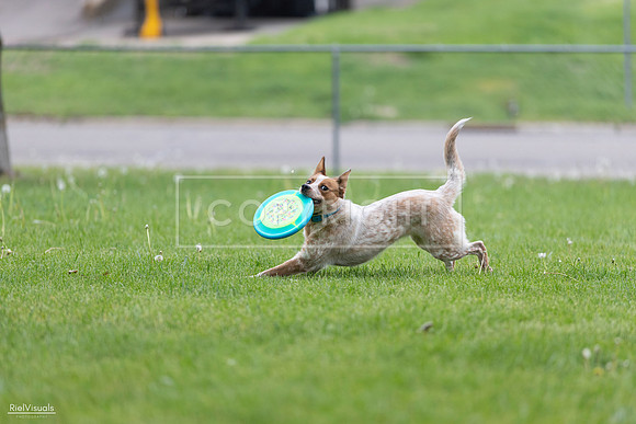 RielVisuals_20260518_180934_SJR_2393