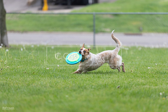 RielVisuals_20260518_180934_SJR_2394
