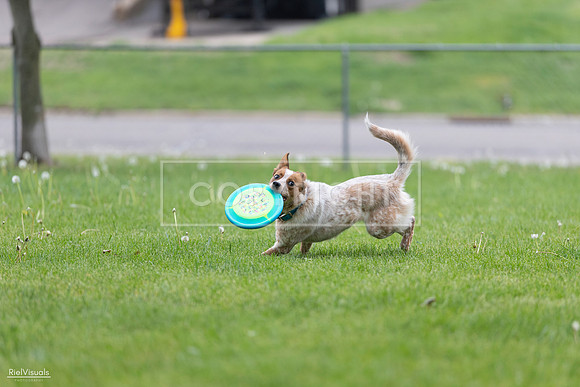 RielVisuals_20260518_180934_SJR_2395