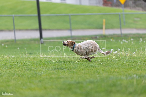 RielVisuals_20260518_180958_SJR_2408
