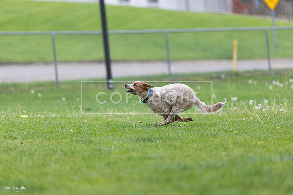 RielVisuals_20260518_180958_SJR_2409