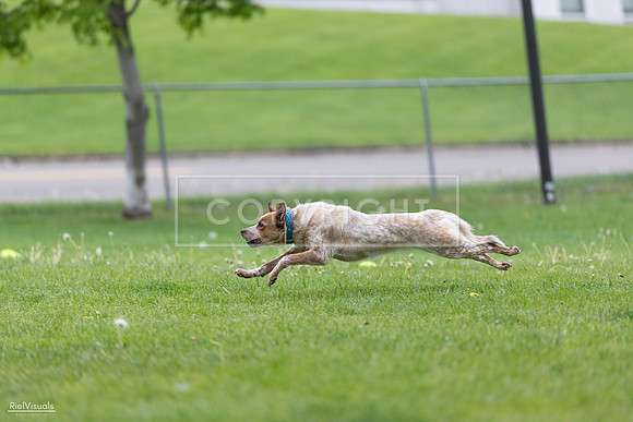 RielVisuals_20260518_180958_SJR_2414