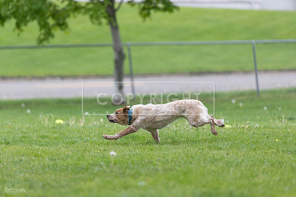 RielVisuals_20260518_180958_SJR_2416