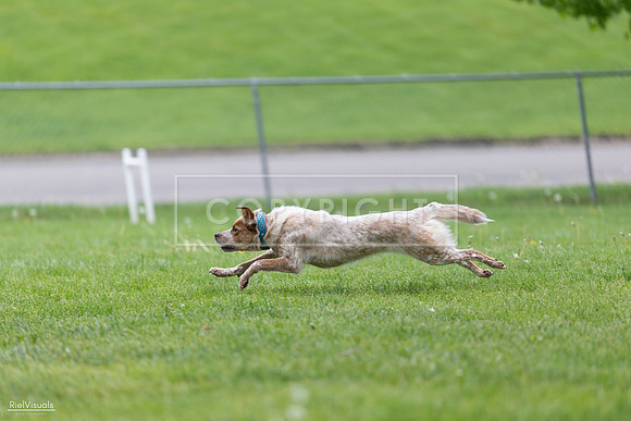 RielVisuals_20260518_180958_SJR_2425